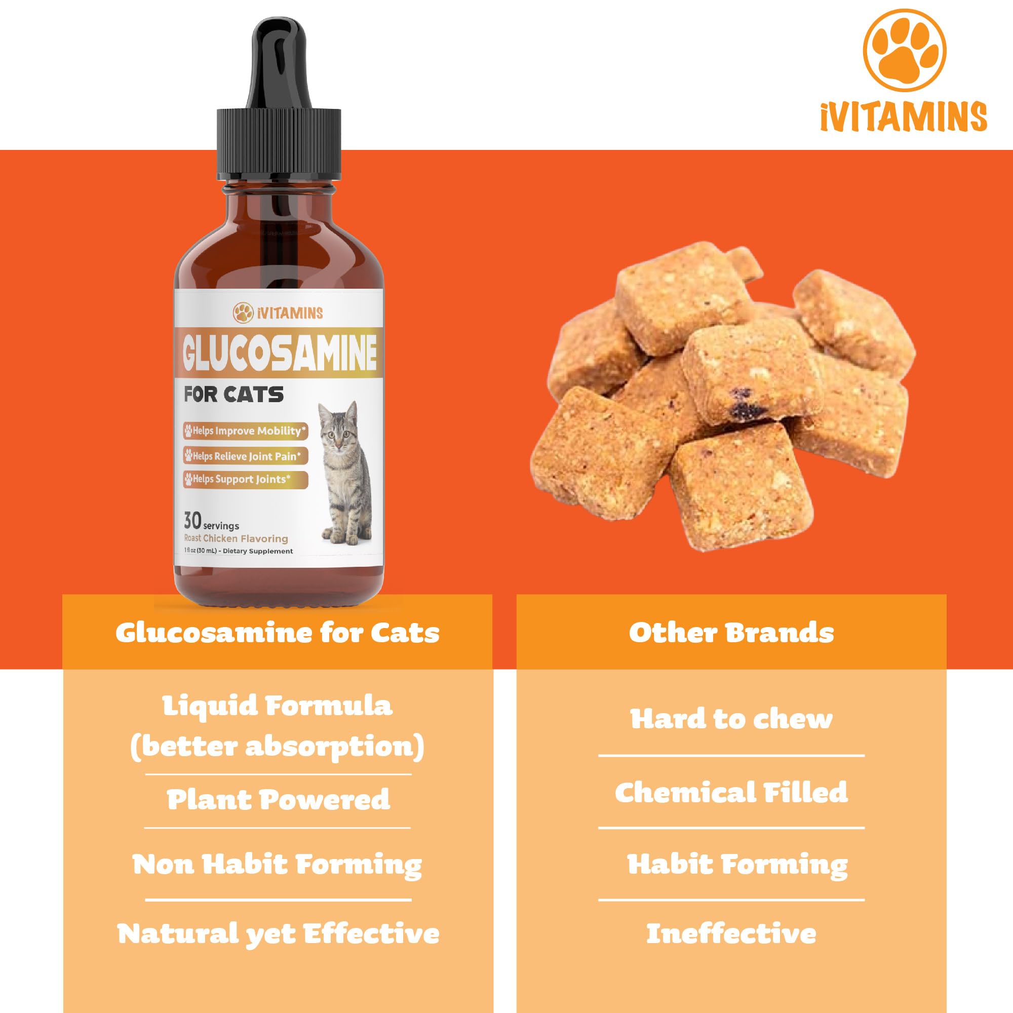 Glucosamine for Cats | Cat Glucosamine | Glucosamine for Cats Liquid | Cat Joint Supplement | Joint Supplement for Cats | Cat Joint Pain Relief | Joint Support for Cats | 1 fl oz: Chicken Flavor