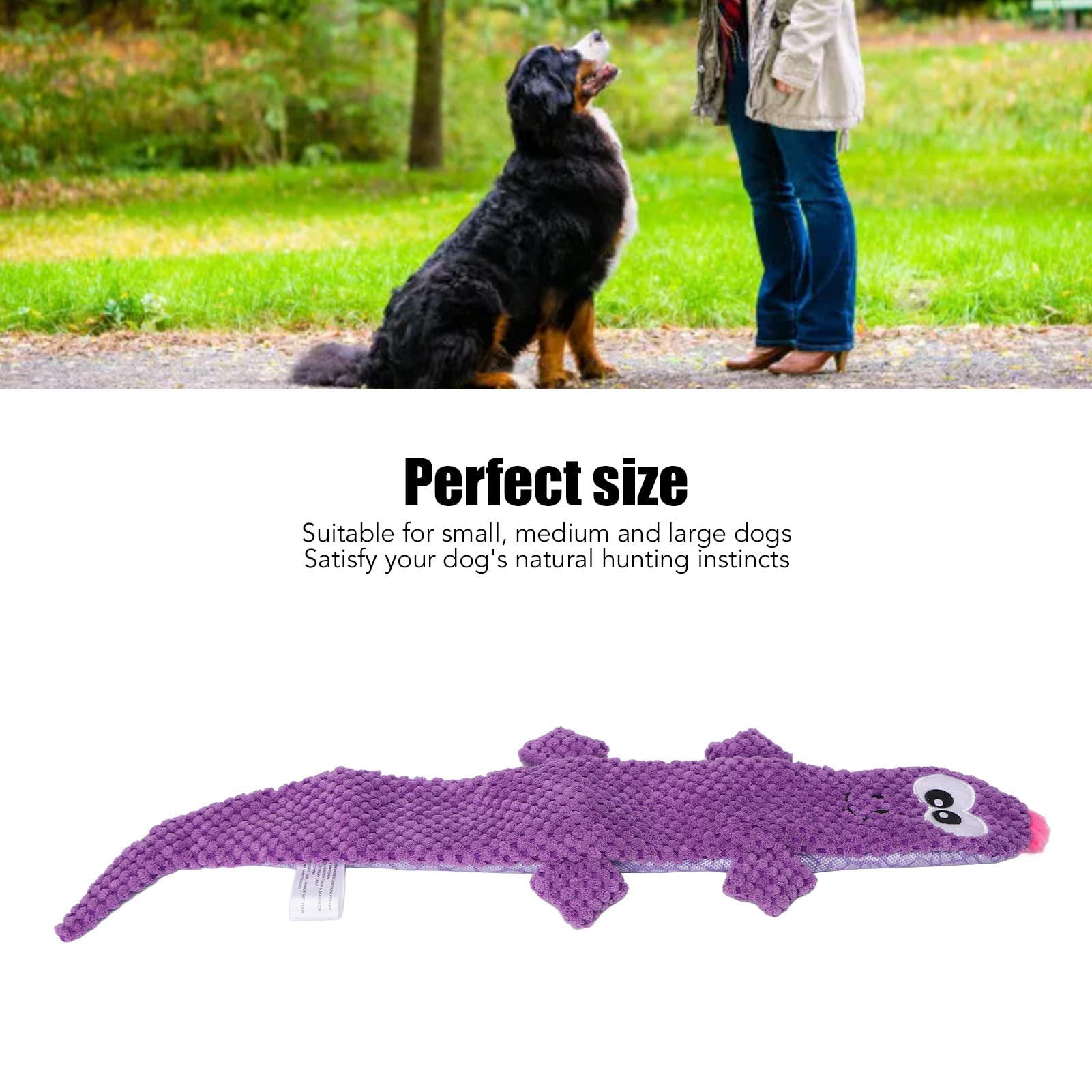 BORDSTRACT Interactive Squeaky Lizard Dog Toy, Engaging Chewable Fun for Dogs, Promotes Dental Health and Anxiety Relief(Purple)