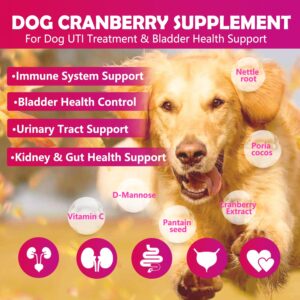 Cranberry Bladder Health for Dogs - Dog Antioxidant- 160 Cranberry Soft Chew Supplements for a Healthy Urinary Tract and Bladder Control – Made with Cranberry & D-Mannose & Vitamins (Chicken Flavor)