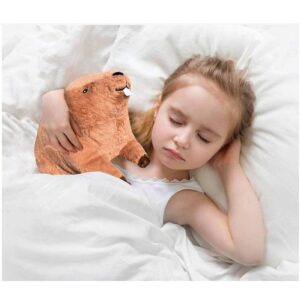 Hofun4U Beaver Plush Pillow with Big Front Teeth, Beaver Stuffed Animal, for Kids Adults (Brown 17.3 inch)