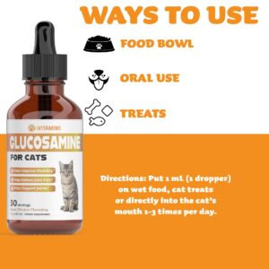 Glucosamine for Cats | Cat Glucosamine | Glucosamine for Cats Liquid | Cat Joint Supplement | Joint Supplement for Cats | Cat Joint Pain Relief | Joint Support for Cats | 1 fl oz: Chicken Flavor