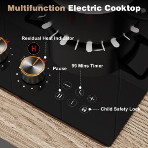 Karinear 110V Electric Cooktop 2 Burners, 12 Inch Electric Stove with Plug in, Countertop & Built-in Ceramic Stove Top, Knob and Sensor Touch Control, Multifunctional Radiant Stove