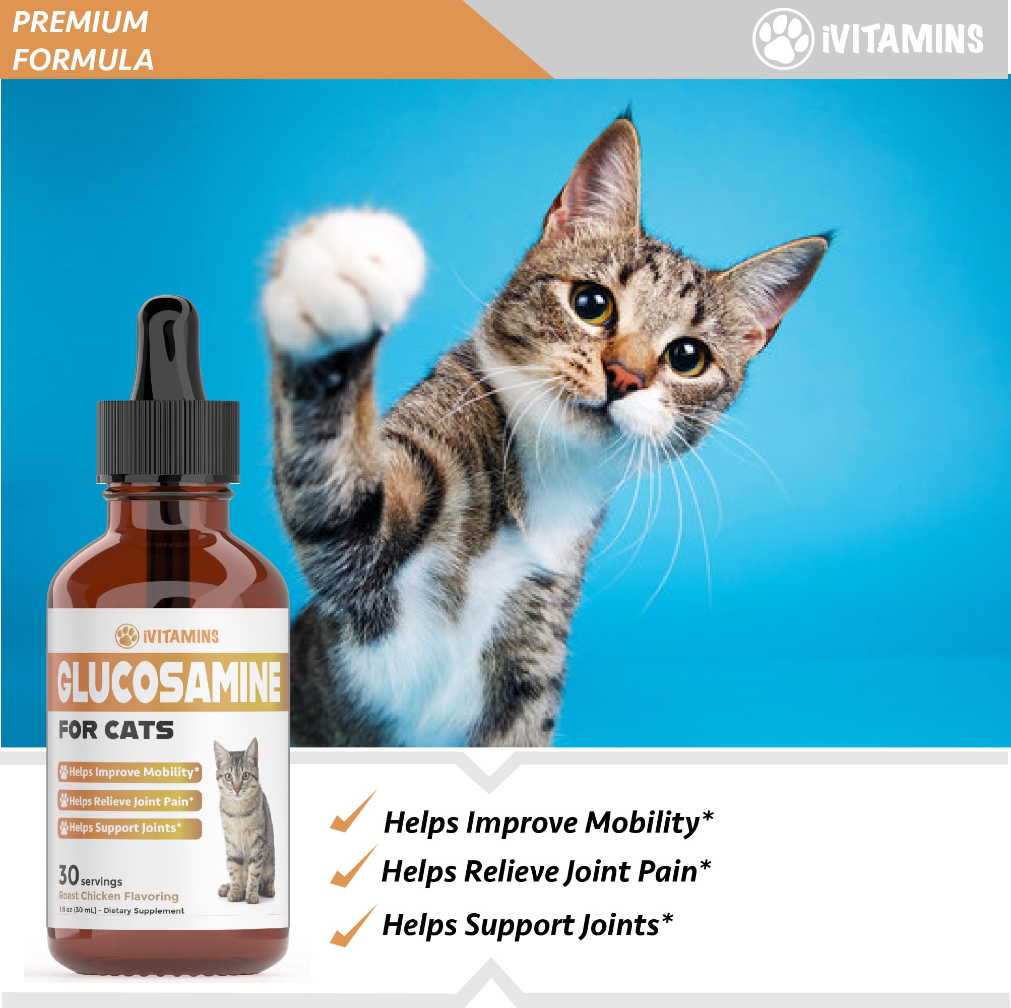 Glucosamine for Cats | Cat Glucosamine | Glucosamine for Cats Liquid | Cat Joint Supplement | Joint Supplement for Cats | Cat Joint Pain Relief | Joint Support for Cats | 1 fl oz: Chicken Flavor