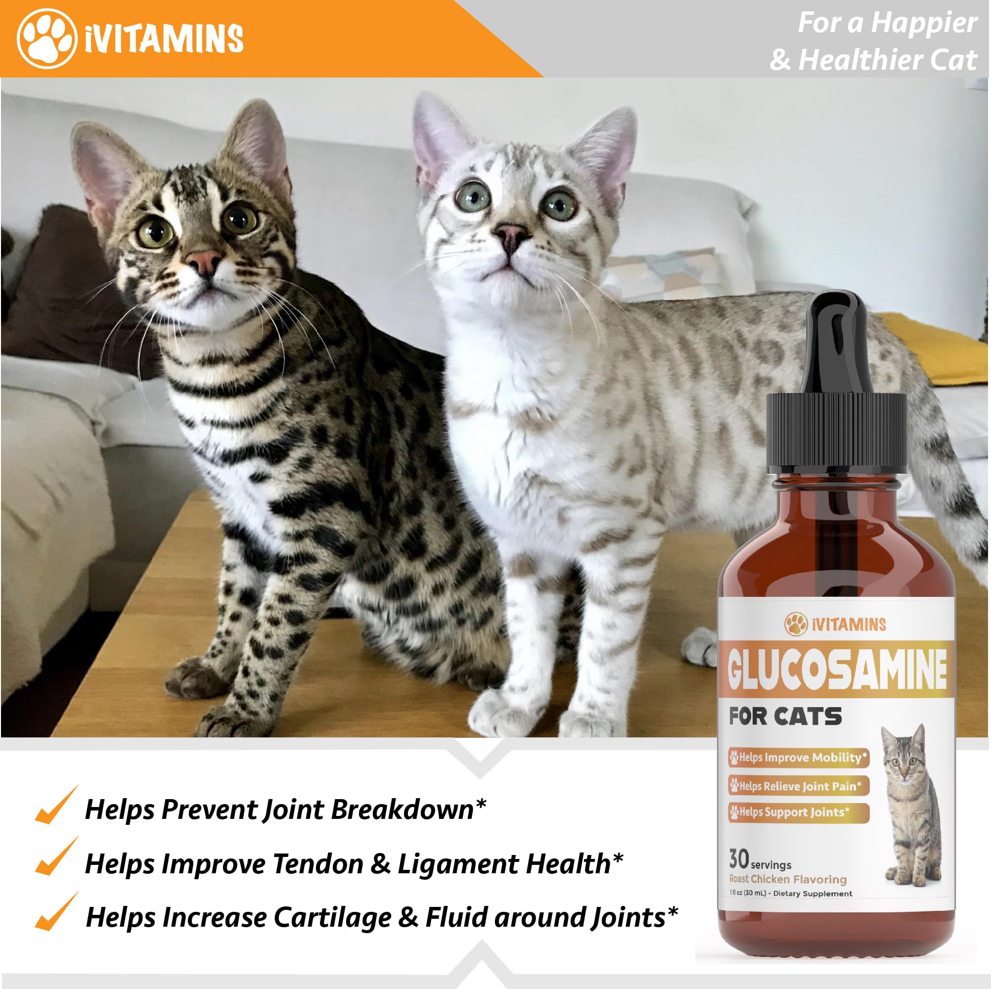 Glucosamine for Cats | Cat Glucosamine | Glucosamine for Cats Liquid | Cat Joint Supplement | Joint Supplement for Cats | Cat Joint Pain Relief | Joint Support for Cats | 1 fl oz: Chicken Flavor