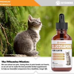 Glucosamine for Cats | Cat Glucosamine | Glucosamine for Cats Liquid | Cat Joint Supplement | Joint Supplement for Cats | Cat Joint Pain Relief | Joint Support for Cats | 1 fl oz: Chicken Flavor