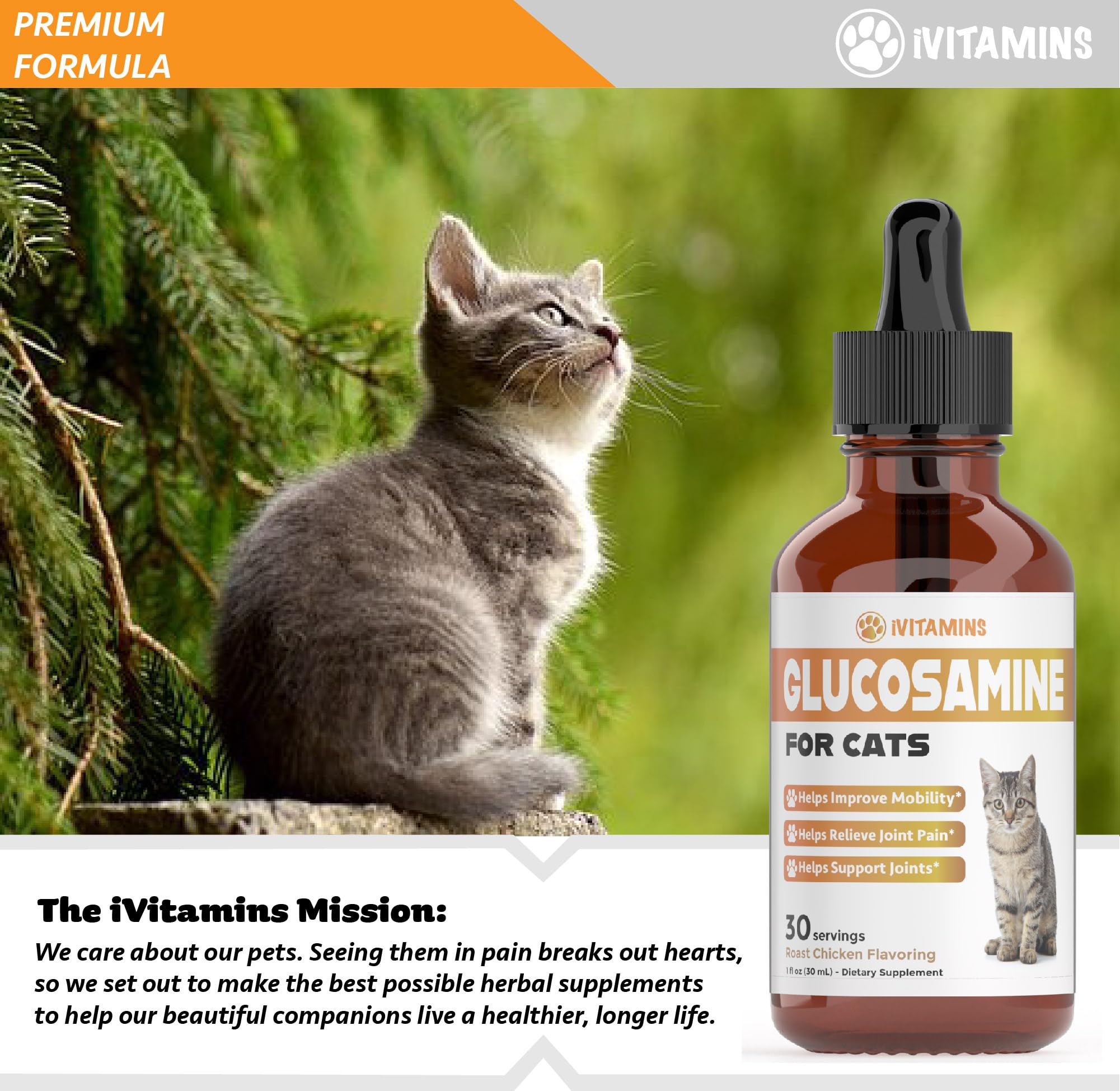 Glucosamine for Cats | Cat Glucosamine | Glucosamine for Cats Liquid | Cat Joint Supplement | Joint Supplement for Cats | Cat Joint Pain Relief | Joint Support for Cats | 1 fl oz: Chicken Flavor