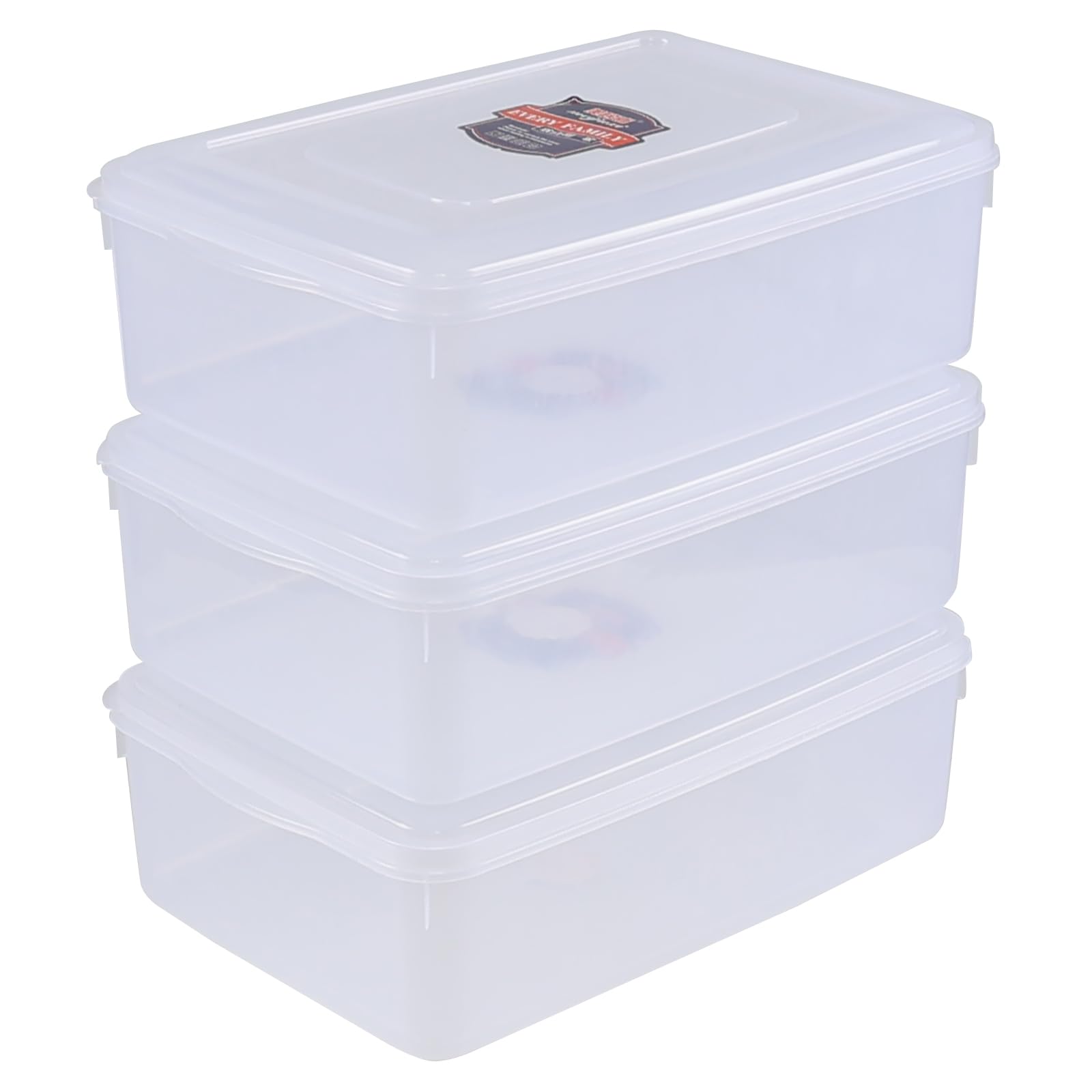 Dehouse 3 Pack Clear Storage Bins with Lids, 10 L Plastic Storage Bins