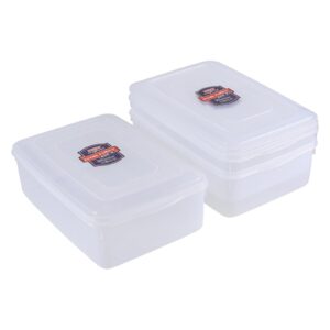 Dehouse 3 Pack Clear Storage Bins with Lids, 10 L Plastic Storage Bins