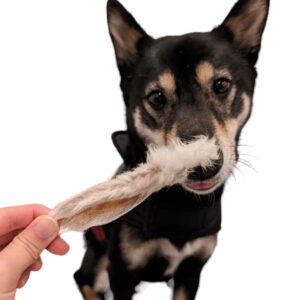 Dehydrated Rabbit Ears for Dogs & Cats - Furry Rabbit Ear Dog Treats - USA Sourced Whole Rabbit Ears with Fur for Dogs - Rawhide Alternative - 100% Single Ingredient Furry Rabbit Ears (6 Count)