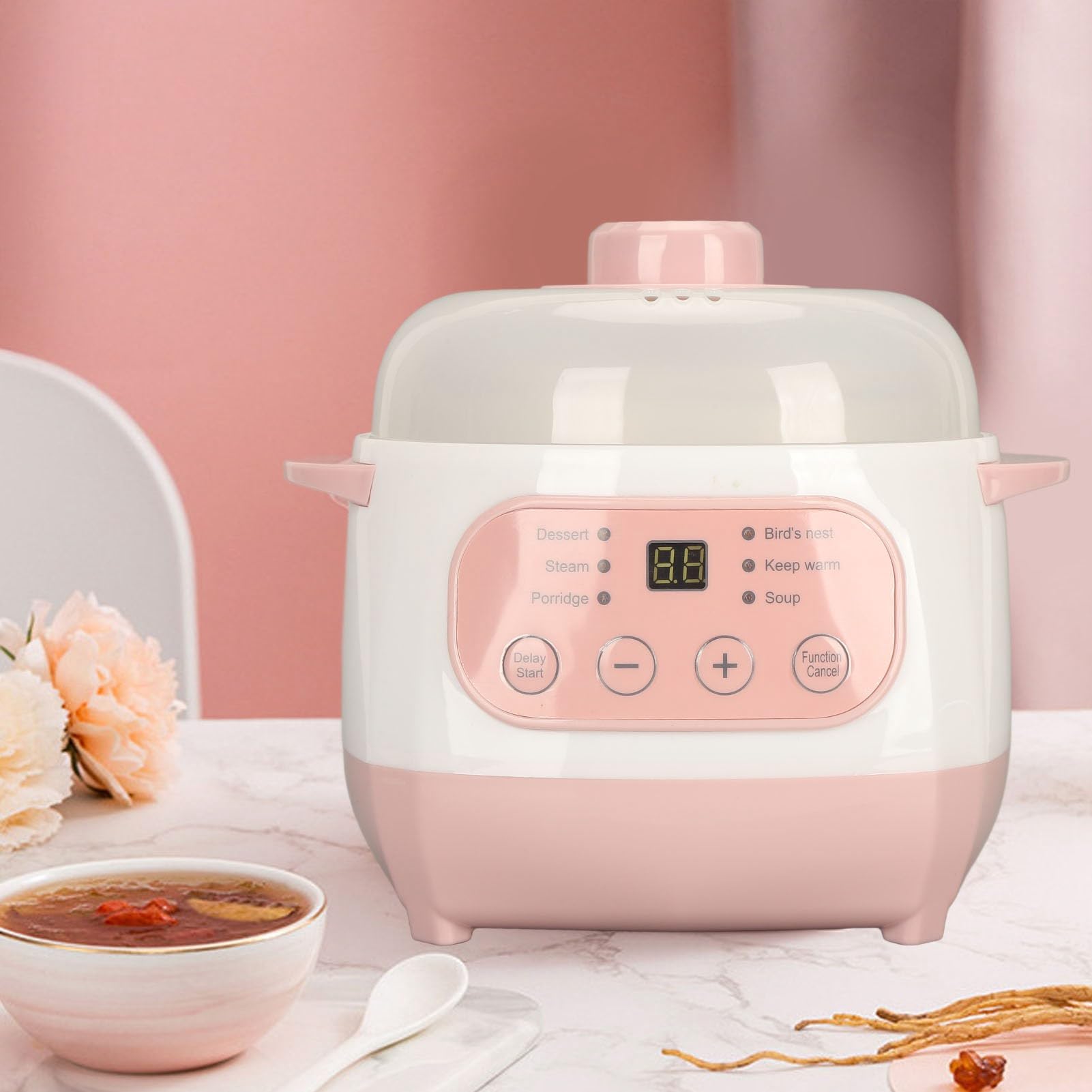 1L Ceramic Electric Stew Pot, 200W Cooker, Electric Cooking Pot for Porridge Rice Soup (US Plug 110V)