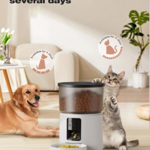 Automatic Cat Feeder: 2.4G/5G Cat Food Dispenser - Cat Feeder with 1-10 Meals - WiFi Cat Feeder Automatic - APP Control - Cat Automatic Feeders - Auto Cat Feeder - 3L Pet Feeder - BEMOONY White