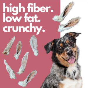 Dehydrated Rabbit Ears for Dogs & Cats - Furry Rabbit Ear Dog Treats - USA Sourced Whole Rabbit Ears with Fur for Dogs - Rawhide Alternative - 100% Single Ingredient Furry Rabbit Ears (6 Count)