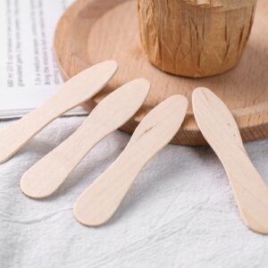 HANSGO 100PCS Wooden Ice Cream Spoons, Mini Tasting Spoons Wooden Small Dessert Spoons Sample Spoons for Crafts Tasting Sampling