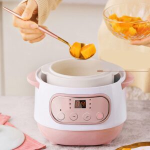 1L Ceramic Electric Stew Pot, 200W Cooker, Electric Cooking Pot for Porridge Rice Soup (US Plug 110V)