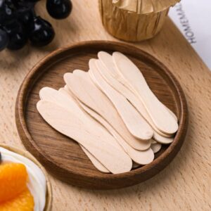 HANSGO 100PCS Wooden Ice Cream Spoons, Mini Tasting Spoons Wooden Small Dessert Spoons Sample Spoons for Crafts Tasting Sampling