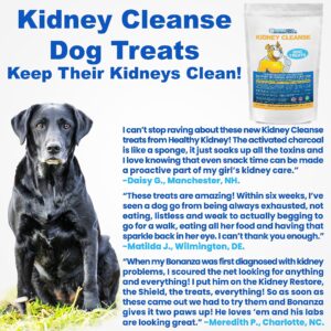 Kidney Cleanse Beef Dog Treats Supports Normal Kidney Toxin Elimination: 20 Oz. Low Protein Beef Dog Treats for Kidney Support. Kidney-Friendly Dog Food Diet Treat.