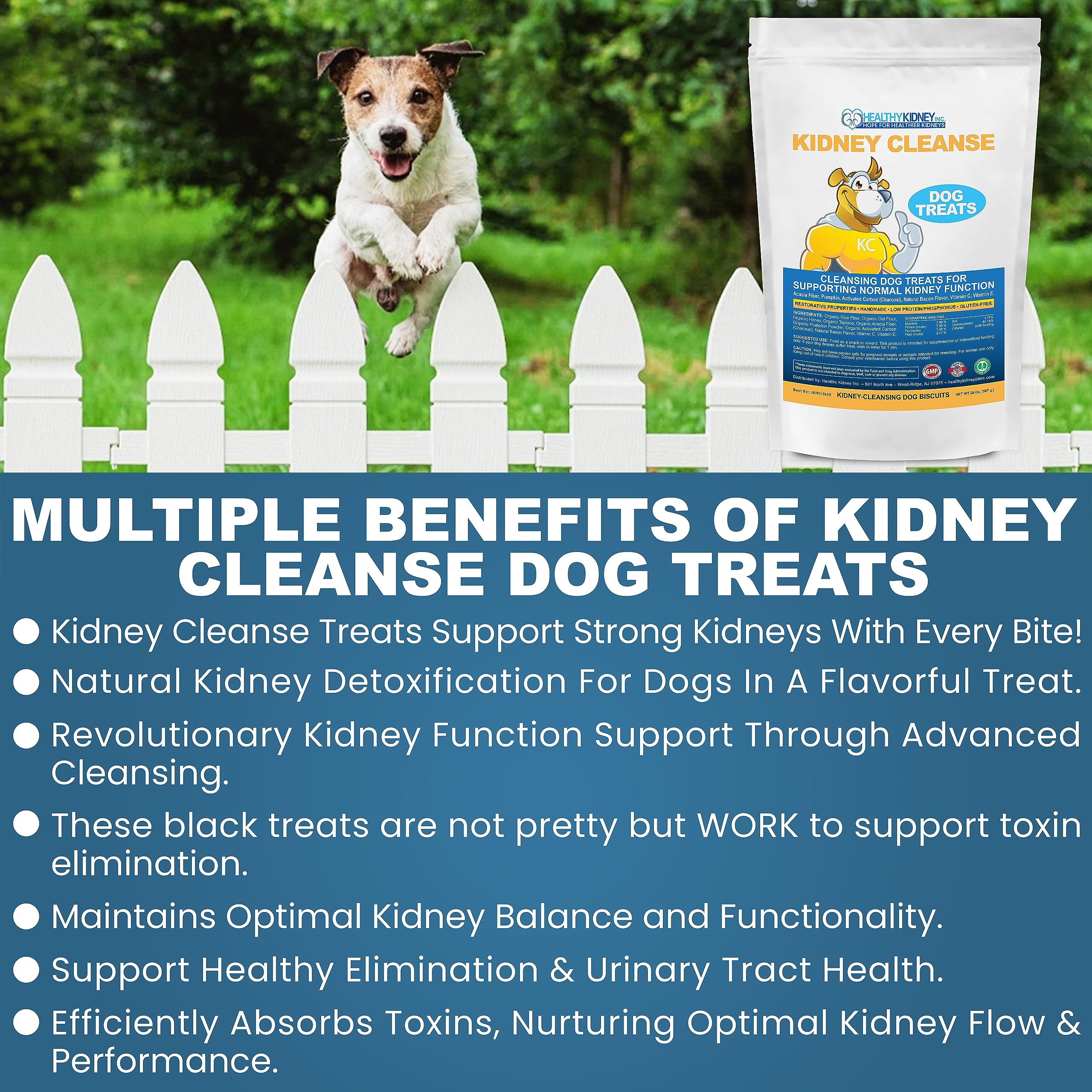 Kidney Cleanse Beef Dog Treats Supports Normal Kidney Toxin Elimination: 20 Oz. Low Protein Beef Dog Treats for Kidney Support. Kidney-Friendly Dog Food Diet Treat.