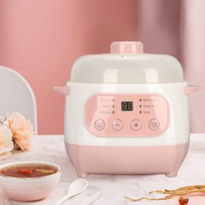 1L Electric Stew Pot, 200W Versatile Cooker with Anti Dry Burn Intelligent Reservation Compact Size for Porridge Rice Soup Cooker (US Plug 110V)