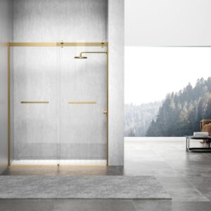 Elegant Kitchen and Bath SD202-6076BGD Frameless Shower Door 60 x 76 Brushed Gold