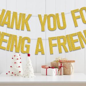 Gold Thank You for Being A Friend Banner,Thank You Banner, Friends Birthday Anniversary Party Supplies