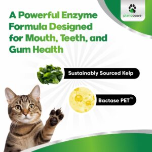 Cat Dental Care Powder - Easier Than Cat Toothpaste - Cat Dental Treat Alternative to Get Plaque Off - Cat Teeth Cleaning Powder with Bactase PET - Cat Breath Freshener for Cat Bad Breath - Oral Care