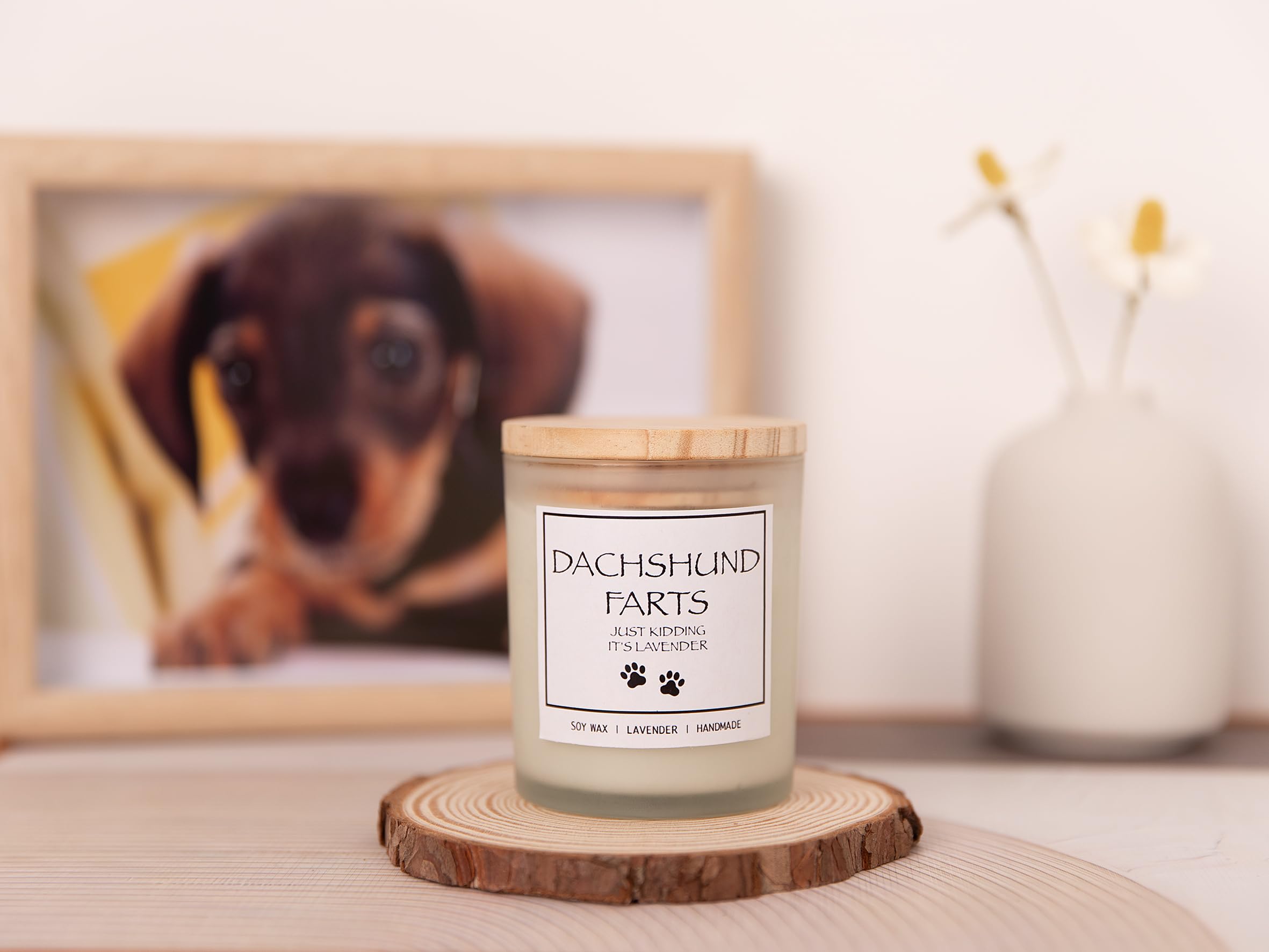 Dachshund Gifts, Dachshund Gifts for Women, Dachshund Decor, Weiner Dog Gifts for Women, Dachshund Candle, Weiner Dog Stuff, Weenie Dog Gifts, Wiener Dog Gifts, Weiner Dog Gifts