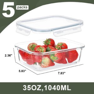 BAYZZ 35 Oz Glass Meal Prep Containers, 5 Packs Glass Food Storage Containers, Airtight Lunch Bento Boxes with Lids - Microwave, Oven, Freezer Safe