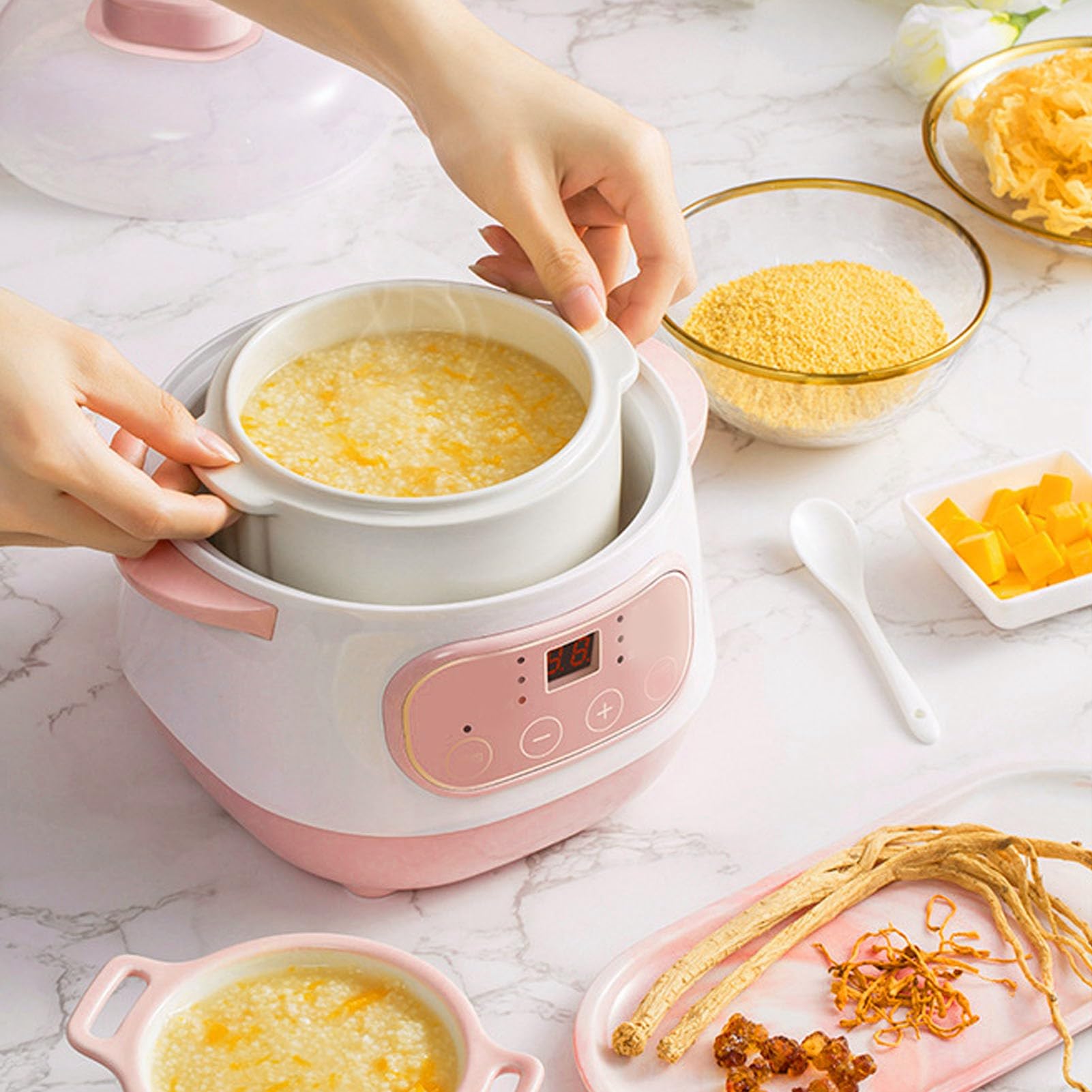 1L Electric Stew Pot, 200W Versatile Cooker with Anti Dry Burn Intelligent Reservation Compact Size for Porridge Rice Soup Cooker (US Plug 110V)