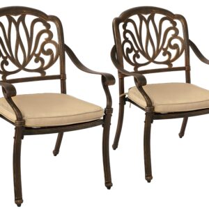 2 Piece Outdoor Dining Chairs, Cast Aluminum Dining Chairs Set of 2, Patio Bistro Chairs Set with Cushions for Patios, Gardens, Pools, Terraces (Flower Design with Khaki Cushion)