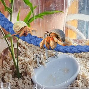 MUYG 2PCS Hermit Crab Climbing Toys,Hermit Crab Rope Ladder Decor Reptile Hanging Vines Toys Hermit Crab Supplies Reptiles Habitat Tank Terrarium Accessories for Lizard Leopard Gecko Tree Frog(Blue)