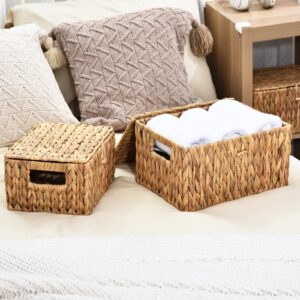 FairyHaus Wicker Storage Basket with Lid, Water Hyacinth Wicker Basket with Lid and Handles, Large and Small Wicker Baskets with Lids 2Pack, 13"x10"x7" & 11.2"x8.3"x5.7"