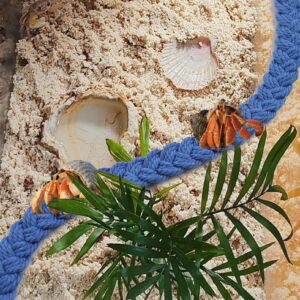 MUYG 2PCS Hermit Crab Climbing Toys,Hermit Crab Rope Ladder Decor Reptile Hanging Vines Toys Hermit Crab Supplies Reptiles Habitat Tank Terrarium Accessories for Lizard Leopard Gecko Tree Frog(Blue)