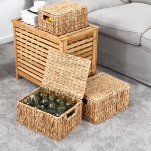 FairyHaus Wicker Storage Basket with Lid, Water Hyacinth Wicker Basket with Lid and Handles, Large and Small Wicker Baskets with Lids 2Pack, 13"x10"x7" & 11.2"x8.3"x5.7"