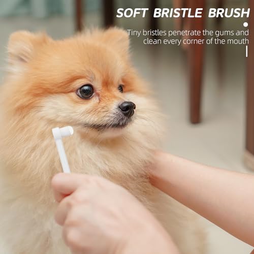 KALIONE 3Pcs Soft Cat Toothbrush Soft Bristle Dog Toothbrushes Nano Pet Dental Care Oral Hygiene Toothbrush for Sensitive Pet Teeth Gums, Puppy Kitten Toothbrush