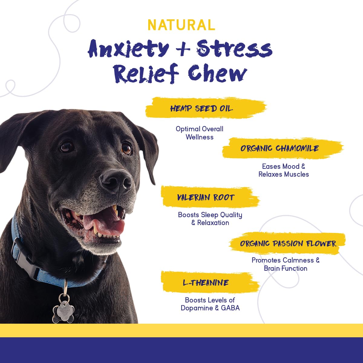 PupGrade 2-Pack Anxiety & Stress and Digestive Support Chews for Dogs - Natural Muscle Relaxant - Prebiotic and Probiotic Supplement with Enzyme Blend - 120 Chews Total