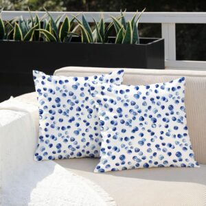 DFXSZ Outdoor Pillow Covers 16x16 Inch Set of 2 Blue Polka Dot Decor Waterproof Throw Pillow Covers Farmhouse Outdoor Waterproof Pillow Covers Decor for Patio Funiture Garden Sofa Couch