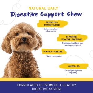 PupGrade 2-Pack Anxiety & Stress and Digestive Support Chews for Dogs - Natural Muscle Relaxant - Prebiotic and Probiotic Supplement with Enzyme Blend - 120 Chews Total