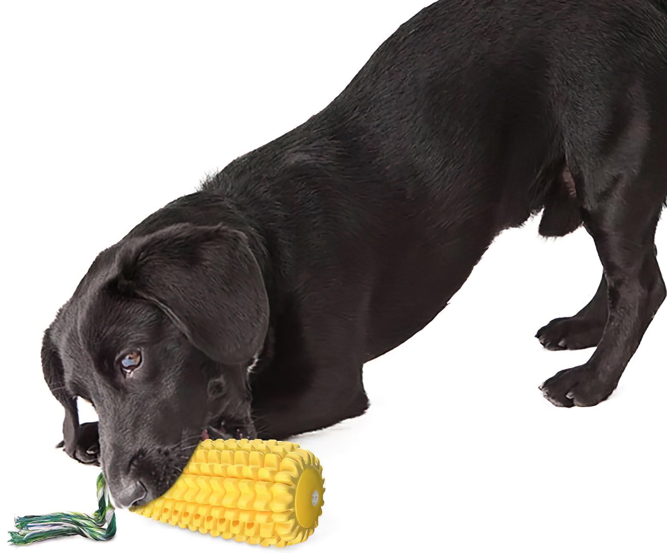 Generic Dog Chew Toys for Aggressive Chewers – 2 Pcs Set Indestructible Tough Durable Squeaky Interactive Dog Corn Stick Toys for Small Medium Large Pet Super Fun Puppy Teeth Chew, Yellow