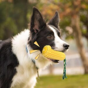 Generic Dog Chew Toys for Aggressive Chewers – 2 Pcs Set Indestructible Tough Durable Squeaky Interactive Dog Corn Stick Toys for Small Medium Large Pet Super Fun Puppy Teeth Chew, Yellow