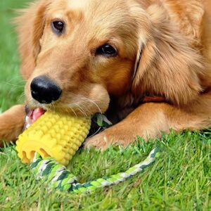 Generic Dog Chew Toys for Aggressive Chewers – 2 Pcs Set Indestructible Tough Durable Squeaky Interactive Dog Corn Stick Toys for Small Medium Large Pet Super Fun Puppy Teeth Chew, Yellow