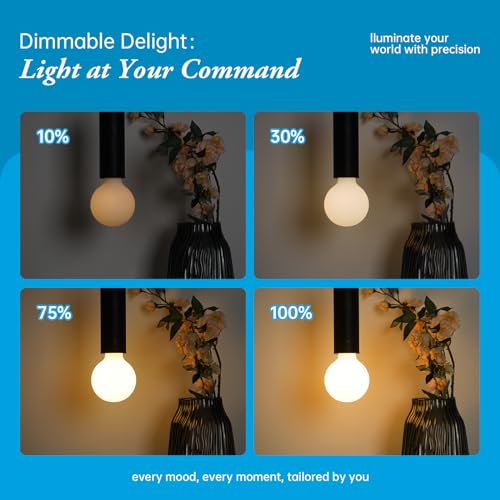 Brighfivey Frosted LED Globe Light Bulb, Warm White 2700K CRI 90, 600LM 6W E26 Medium Base, Light Bulbs 60 Watt Equivalent G30/G95 Dimmable Edison Bulb, 1 Pack