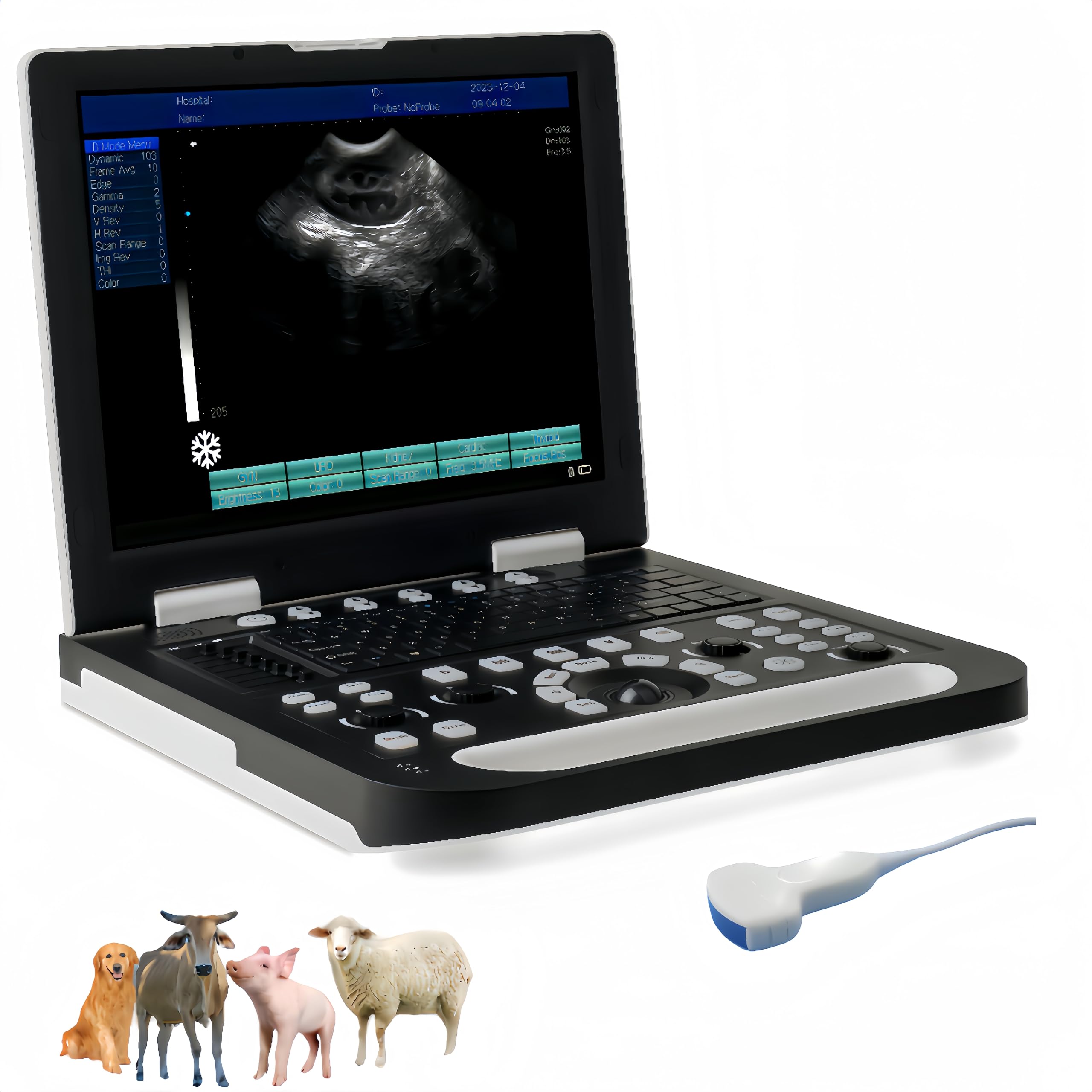 Ruisheng N50 Laptop Vet Ultrasound Machine 15" Large HD LCD Screen with Two Probe sockets for Veterinary Pregnancy use Standard with 3.5 MHz Convex Probe for pet Pregnancy use