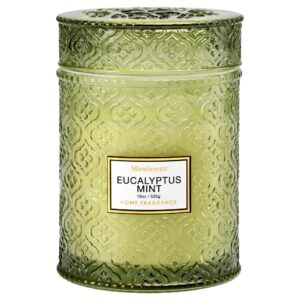 eucalyptus mint scented candles, large natural soy candle, 88 hours burning time, decorative candles in glass, aromatherapy candle gift for women, 19oz