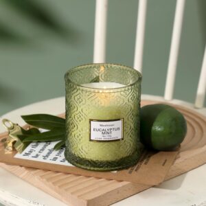 Eucalyptus Mint Scented Candles, Large Natural Soy Candle, 88 Hours Burning Time, Decorative Candles in Glass, Aromatherapy Candle Gift for Women, 19oz