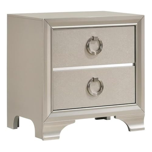 Pemberly Row 2-Drawer Contemporary Wood Nightstand Metallic Silver