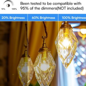 VOLIVO 24 Pack Vintage LED Bulbs, A19 Dimmable LED Light Bulb, 2700K Warm White, 60W Equivalent, CRI 80+, Clear Glass Filament Bulbs, 7W, E26 Standard Base, Classic Edison Antique Style Bulbs for Home