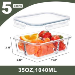 BAYZZ 5 Pack 35 Oz Glass Meal Prep Containers 3 Compartments, Glass Food Storage Containers with Lids, Airtight Bento Box Lunch Container-Microwave, Freezer & Dishwasher Safe