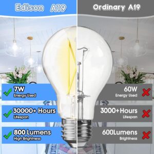 VOLIVO 24 Pack Vintage LED Bulbs, A19 Dimmable LED Light Bulb, 2700K Warm White, 60W Equivalent, CRI 80+, Clear Glass Filament Bulbs, 7W, E26 Standard Base, Classic Edison Antique Style Bulbs for Home