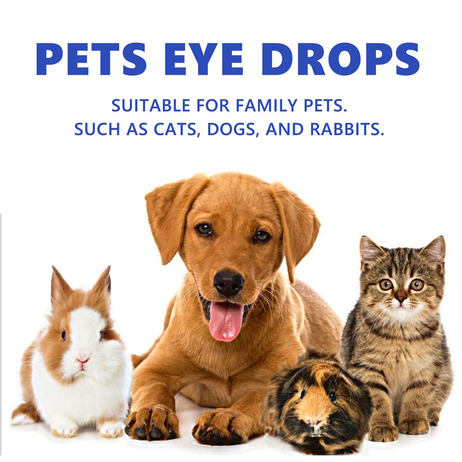 AusuB Pet Gel Eye Drops，Pets Eye Drops，Therapeutic Eye Lubricating Drop for Dog & Cats，Eye Solution for Severe Dry Eyes,Effective Dog Eye Infection Treatment (3Pcs,Blue)