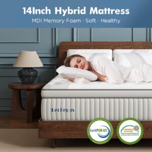 King Mattress, Lechepus 14Inch Medium Plush King Size Mattress in Box, Hybrid Mattress with Memory Foam & 7-Zone Individual Pocket Spring Mattress, Supportive & Pressure Relief, 76"*80"